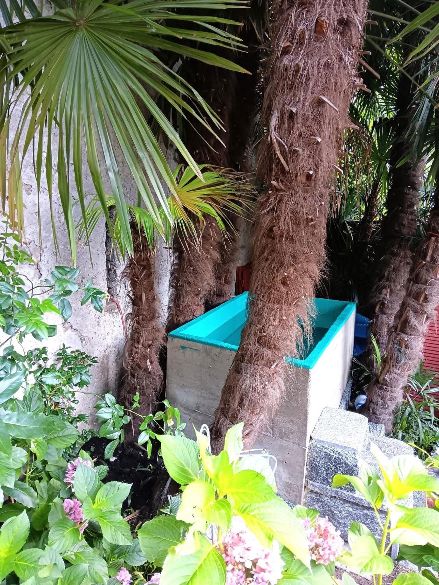 Casa Belgeri - Bed & Breakfast Dongio Luaran gambar